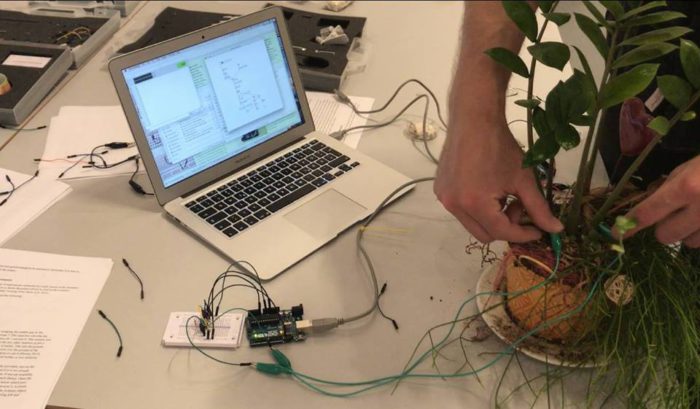 Interfacing mycorrhizal networks