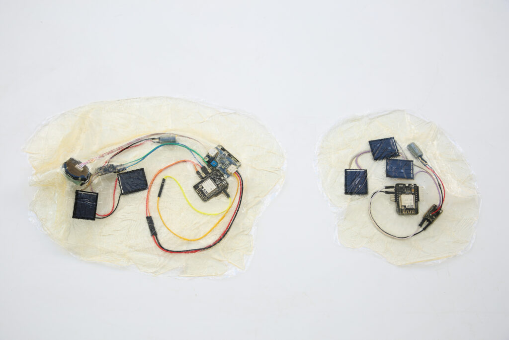 Jellyfish to capture turbidity of the water (left) and underwater photos (right). Photo: Martin Wrede