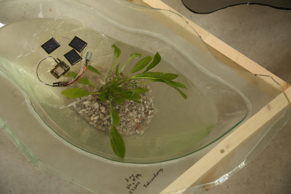 Puddle Garden in combination with Jellyfish. Open Studios Tempelhof. Photo: Martin Wrede