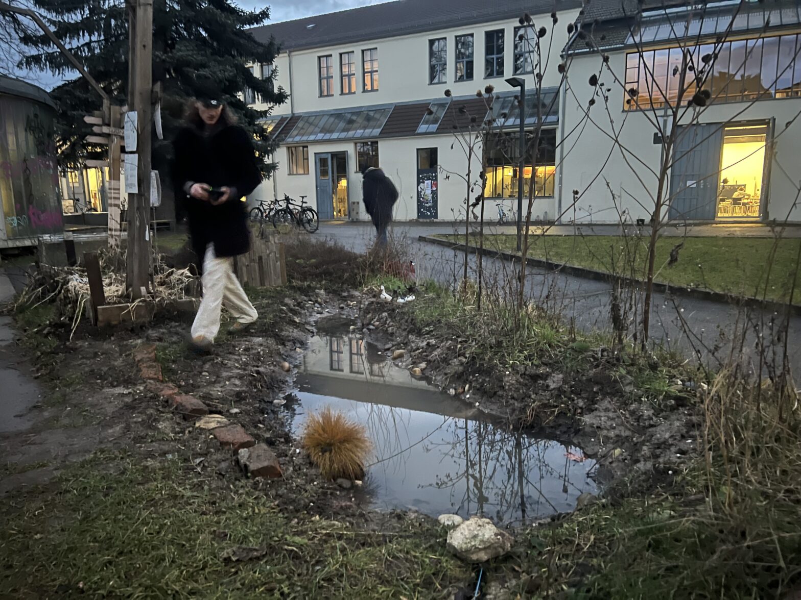 The Pond. Photo: Mindaugas Gapševičius