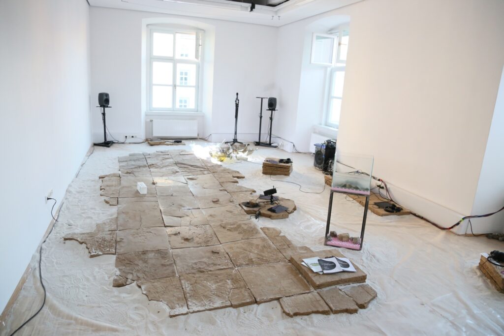 [Dried Out] Pond. Photo: Cosmo Schüppel